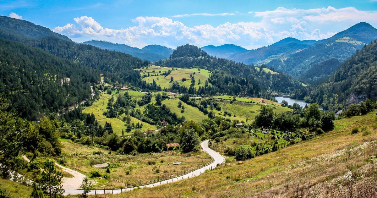 tara national park in serbia